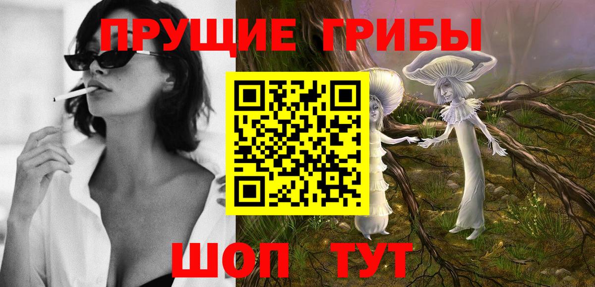 Галлюциногенные грибы мицелий  Вход с VPN  Черняховск 